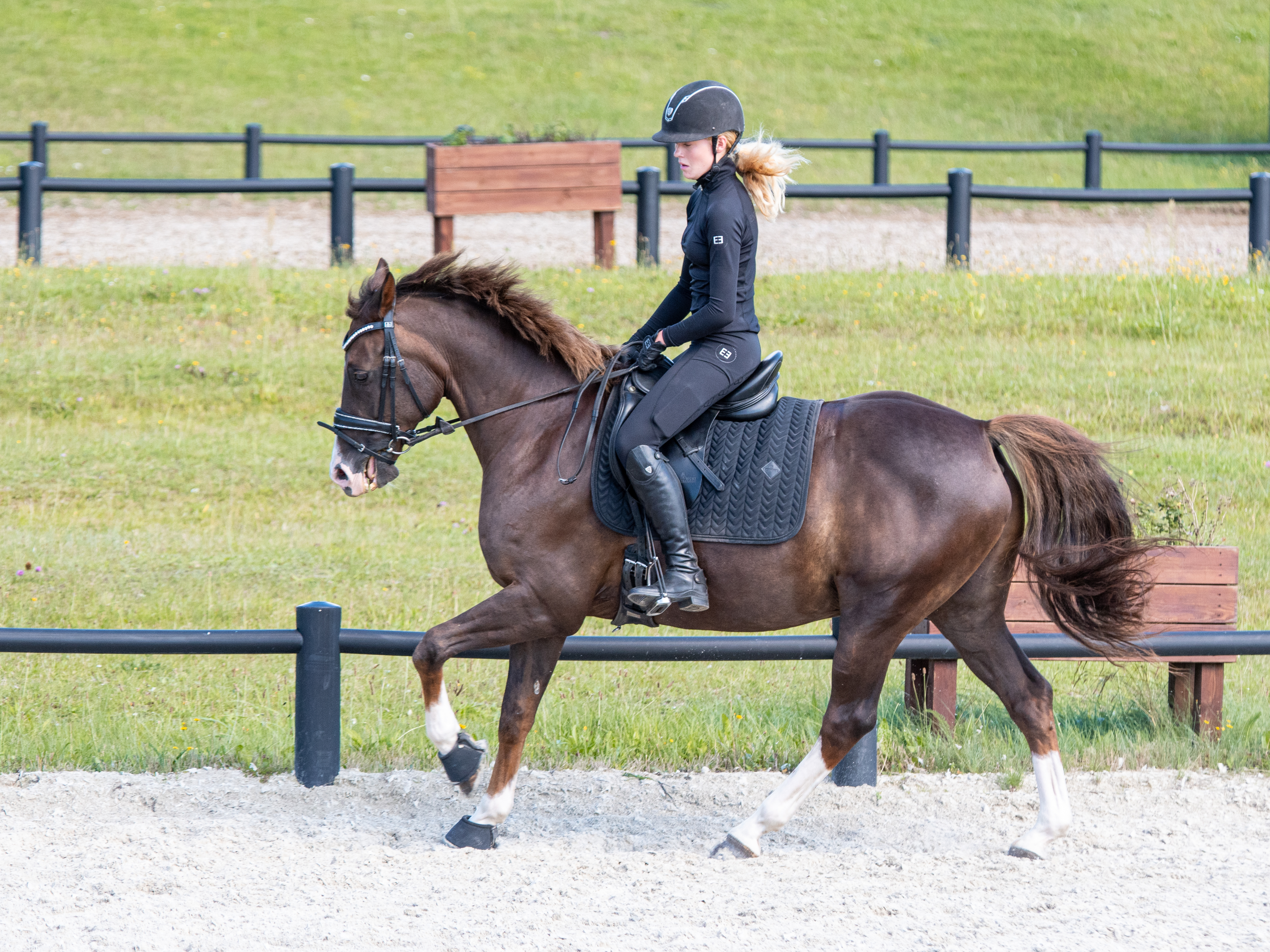 Full grip riding tights | Intense black