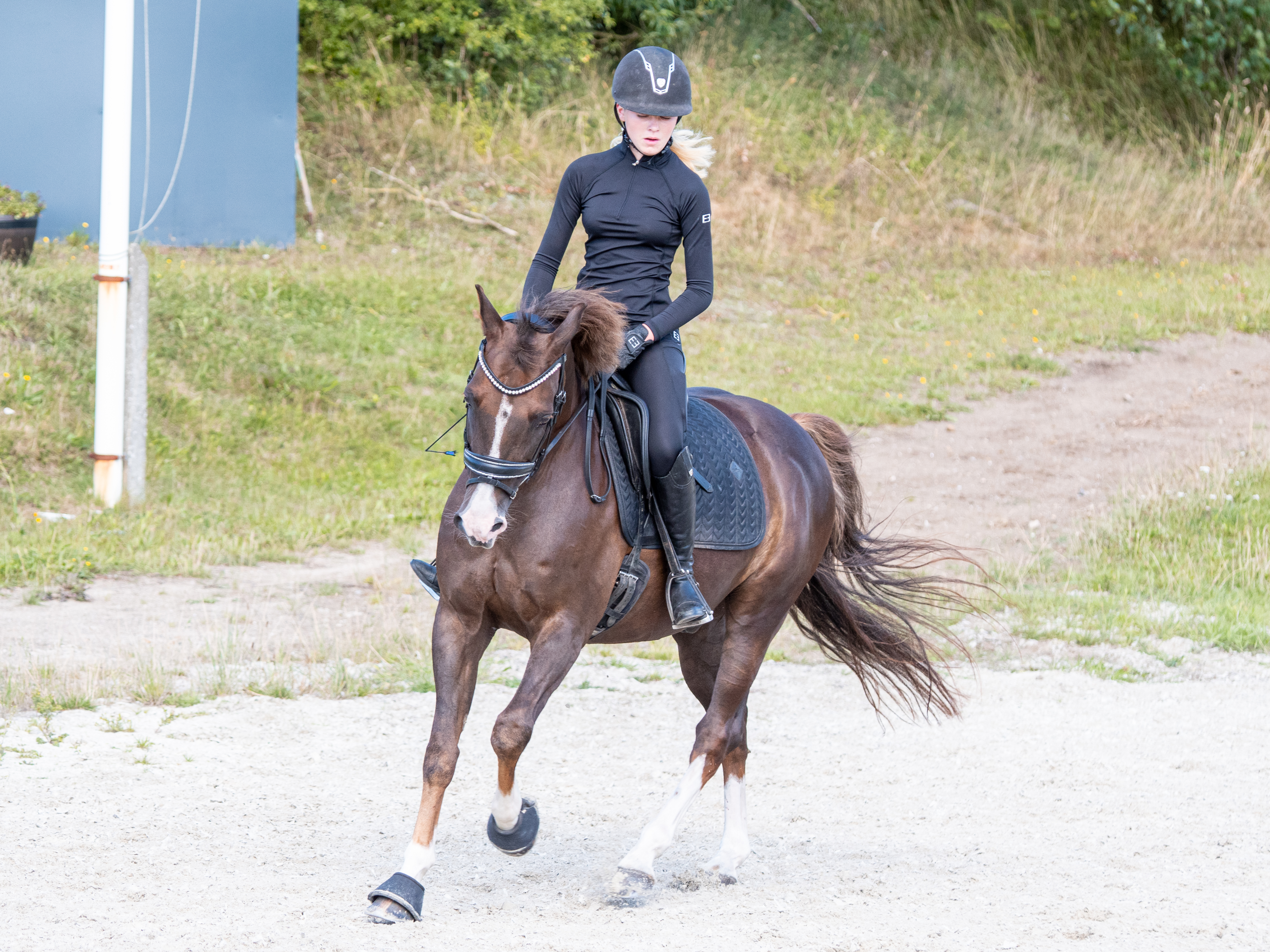 Full grip riding tights | Intense black